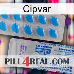 Cipvar new15